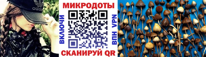 Галлюциногенные грибы мухоморы купить наркотик Арсеньев